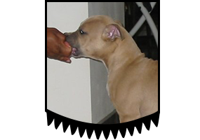 Once in a Blue Moon Bludiamond