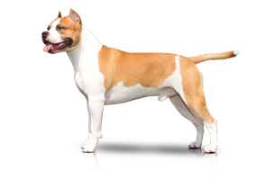 Carmichael's Truth be Told