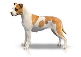 Carmichael’s Focus on What Matters