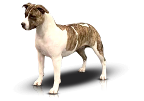 Carmichael’s Unfinished Sympathy