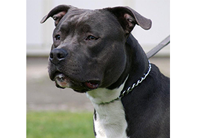 Carmichael's Shut Up and Kiss Me