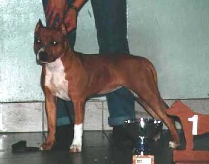 Zoë of Nice Pharamunds