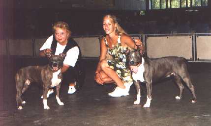 Dusty (l) and Indy (r)